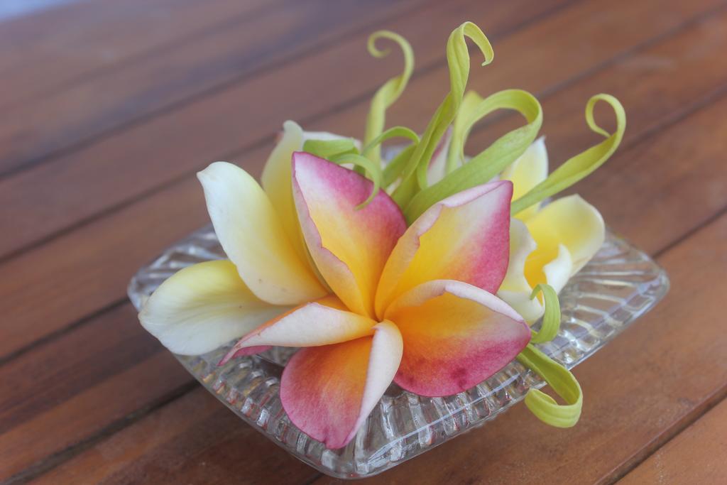 Donald Home Stay Ubud  Exterior photo